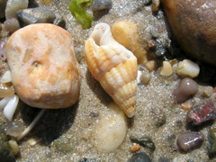 DSCN6752.JPG