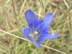 DSCN6774.JPG