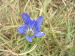 DSCN6775.JPG