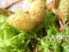 DSCN6792.JPG