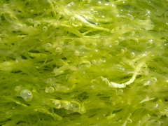 DSCN7227.JPG