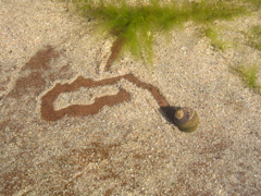 DSCN6802.JPG