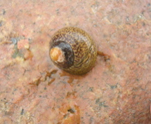 DSCN6856.JPG