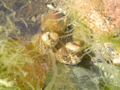 DSCN7226.JPG
