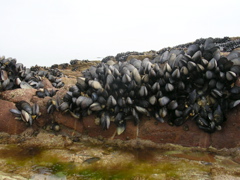 DSCN6703.JPG