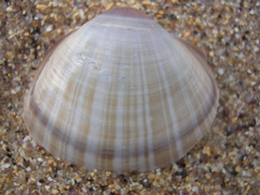DSCN7019.JPG