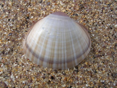 DSCN7020.JPG