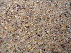 DSCN7024.JPG