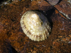 DSCN7232.JPG