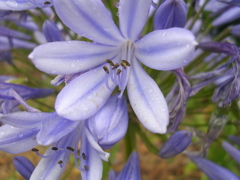 DSCN7035.JPG