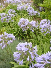 DSCN7036.JPG