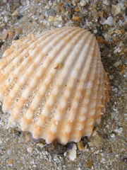 DSCN6722.JPG
