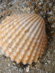 DSCN6723.JPG