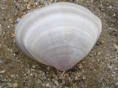 DSCN6724.JPG