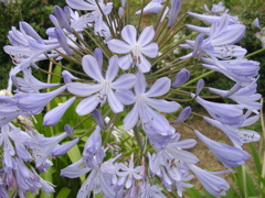 DSCN6728.JPG