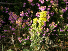 DSCN0291.JPG
