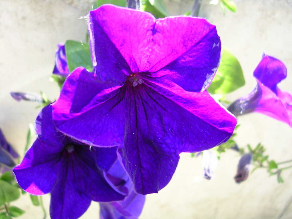 DSCN0451.JPG