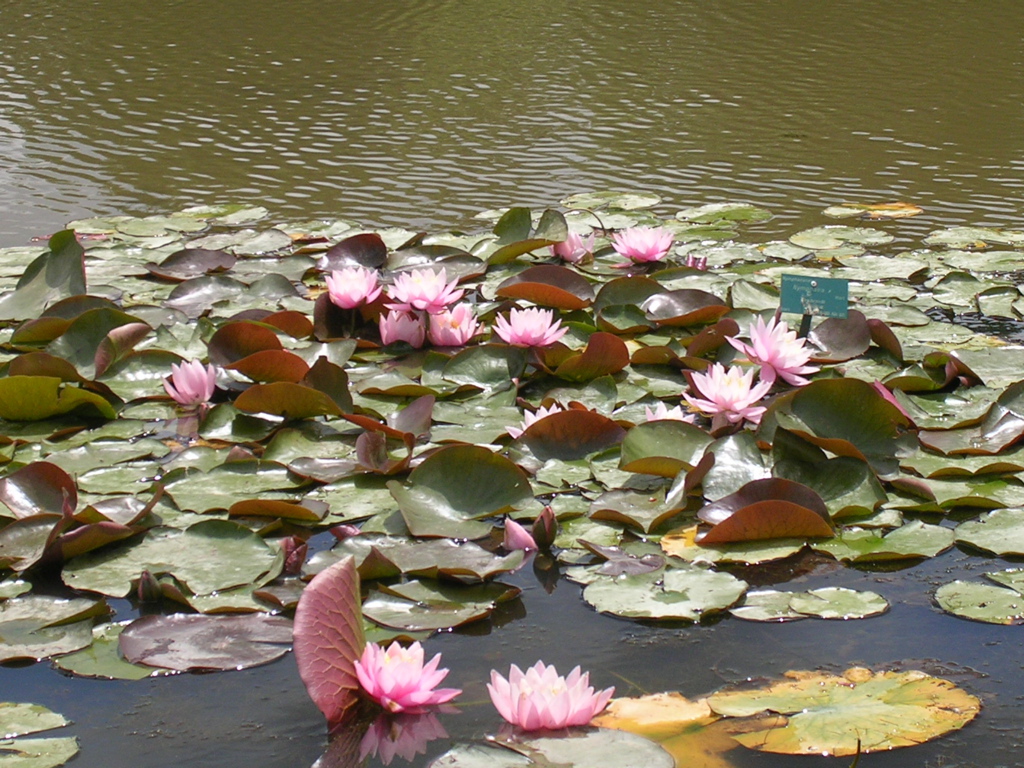 DSCN0636.JPG