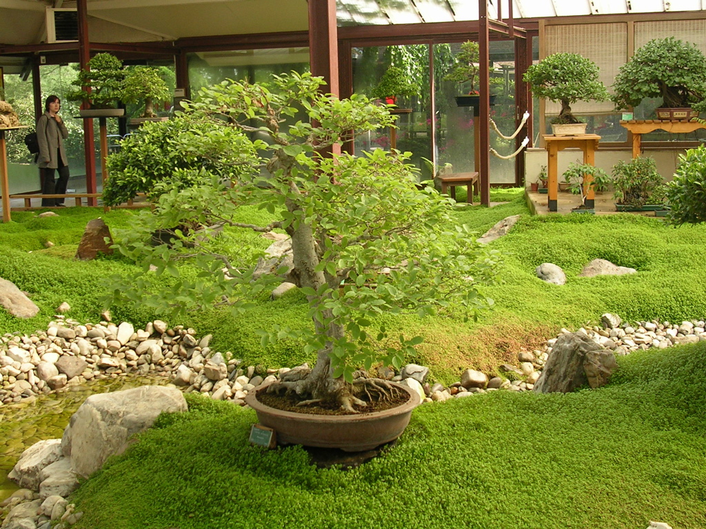 DSCN0109.JPG