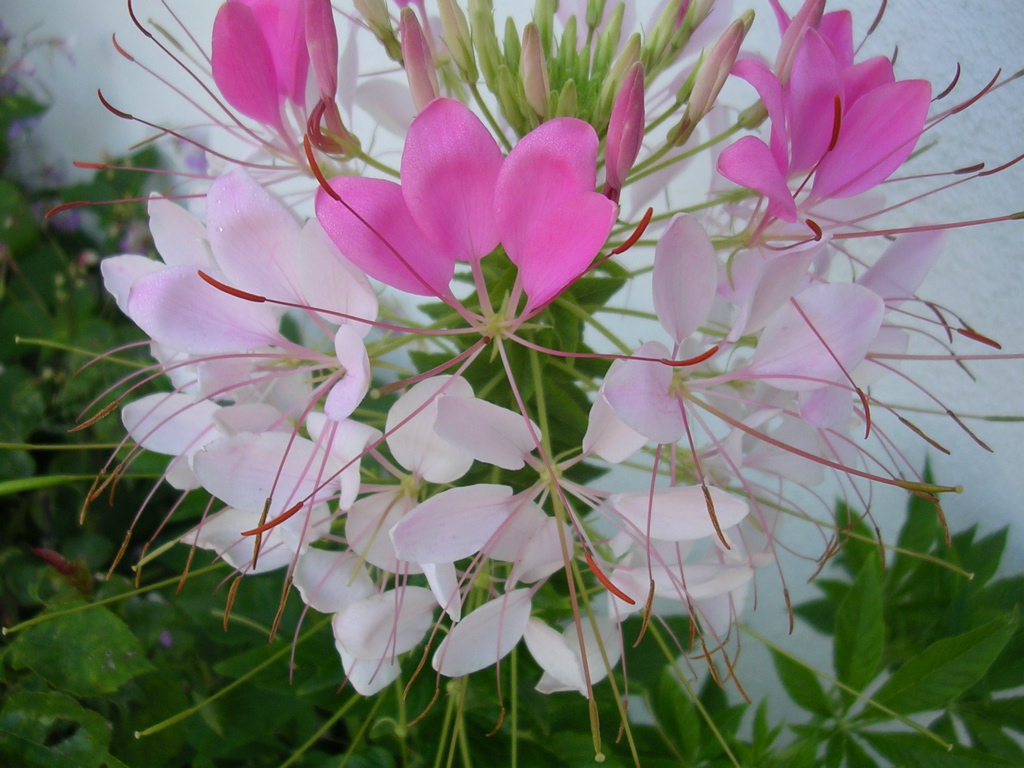 DSCN1463.JPG