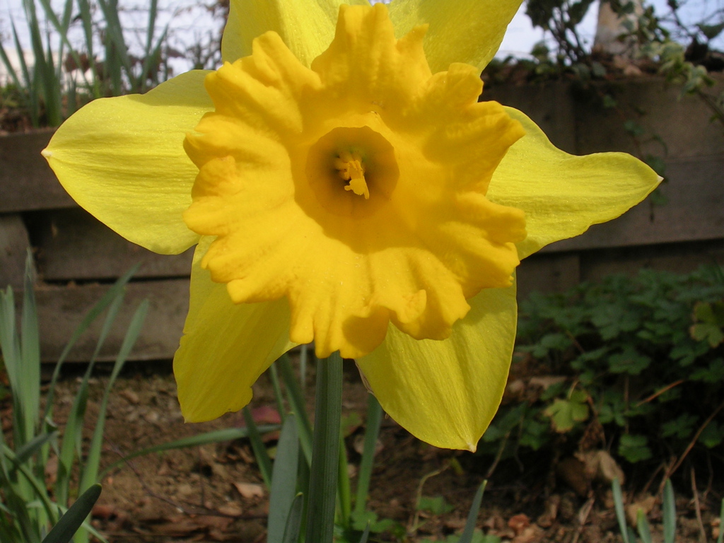 DSCN2718.JPG