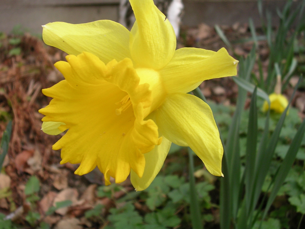 DSCN2720.JPG