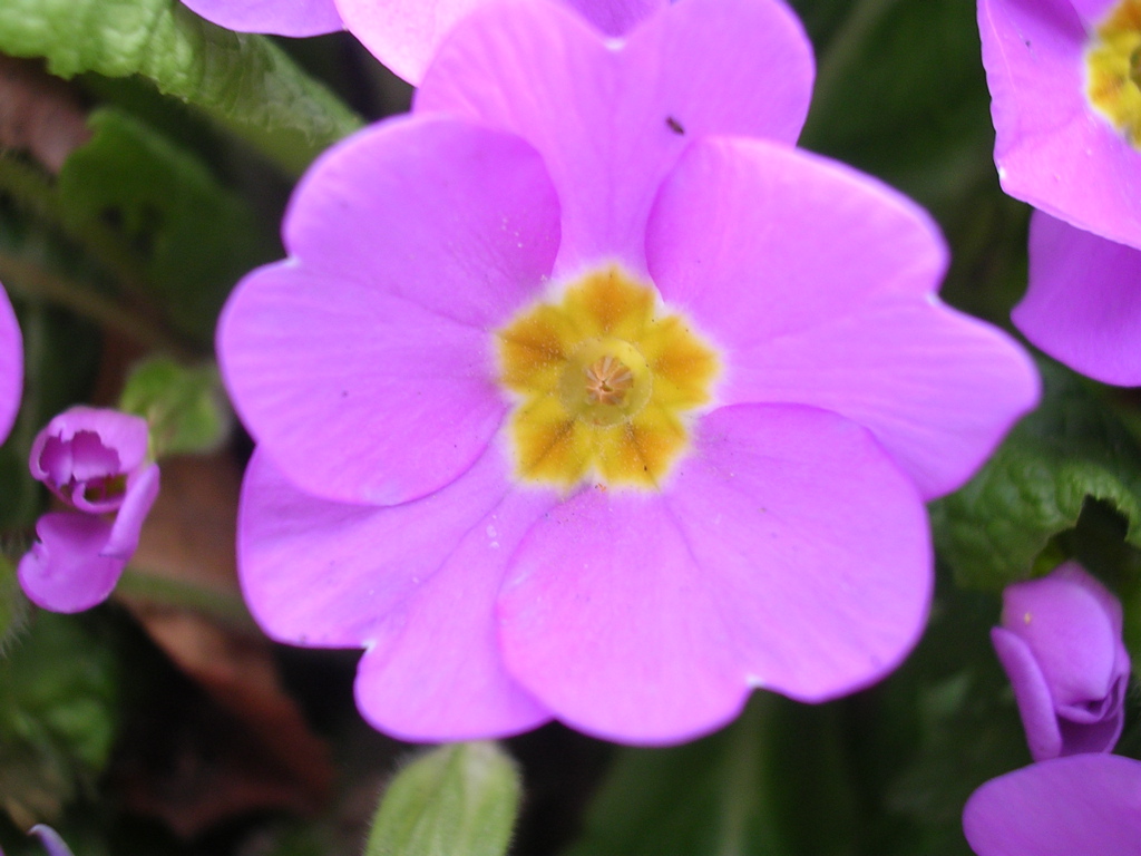 DSCN2721.JPG
