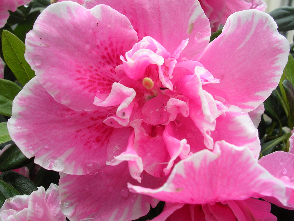 DSCN2754.JPG