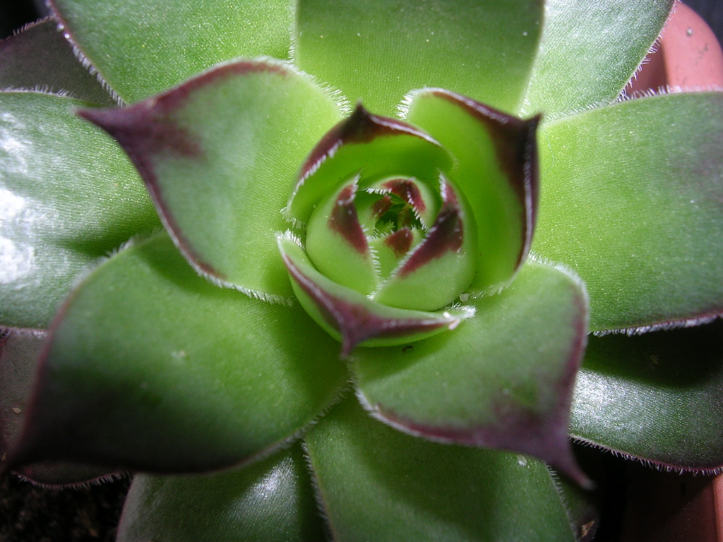 DSCN2760.JPG
