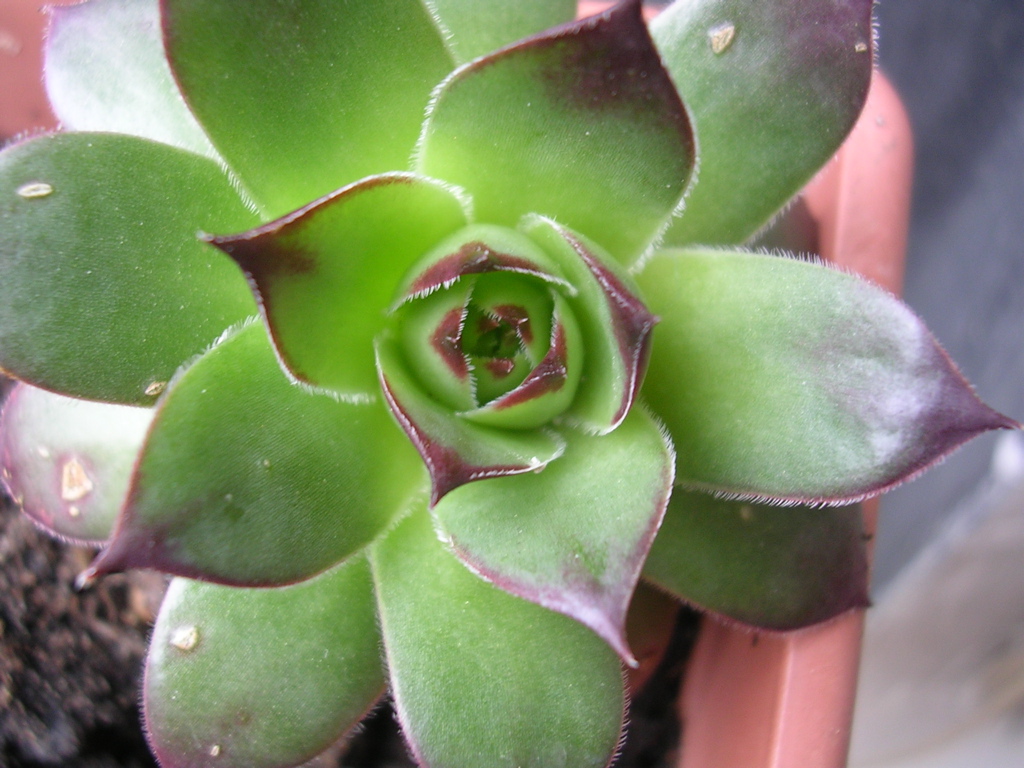 DSCN2761.JPG