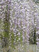 DSCN2890.JPG