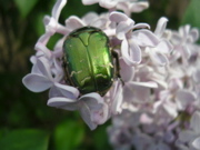 DSCN2913.JPG