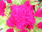 DSCN1327.JPG
