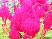DSCN1328.JPG