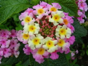 DSCN1329.JPG