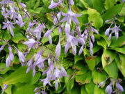 DSCN1331.JPG