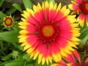 DSCN1332.JPG