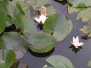 DSCN1334.JPG