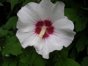 DSCN1440.JPG