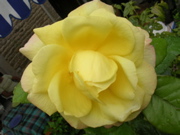 DSCN1441.JPG