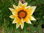 DSCN1442.JPG
