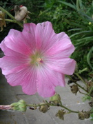 DSCN1443.JPG