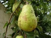 DSCN1444.JPG