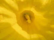 DSCN2717.JPG