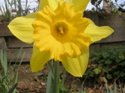 DSCN2718.JPG