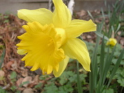 DSCN2720.JPG
