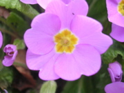 DSCN2721.JPG