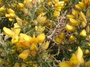 DSCN2722.JPG