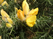 DSCN2723.JPG