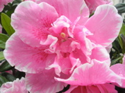 DSCN2754.JPG